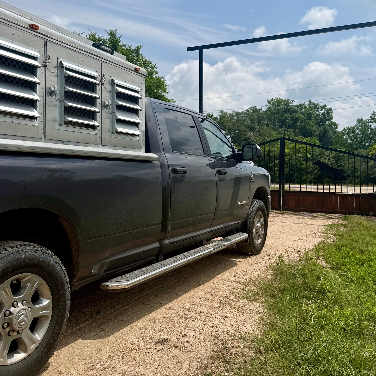 Grey Ram truck for picking up dogs. TGC members enjoy free pickup and dropoff with every board.